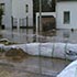 duernkrut_031_small